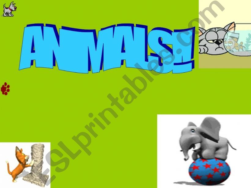 animals description powerpoint