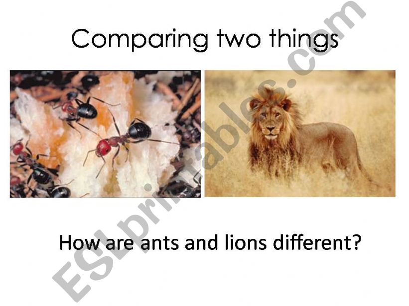 comparing two things powerpoint