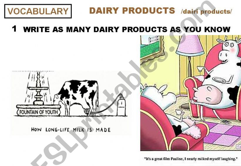 DAIRY PRODUCTS VOCABULARY powerpoint