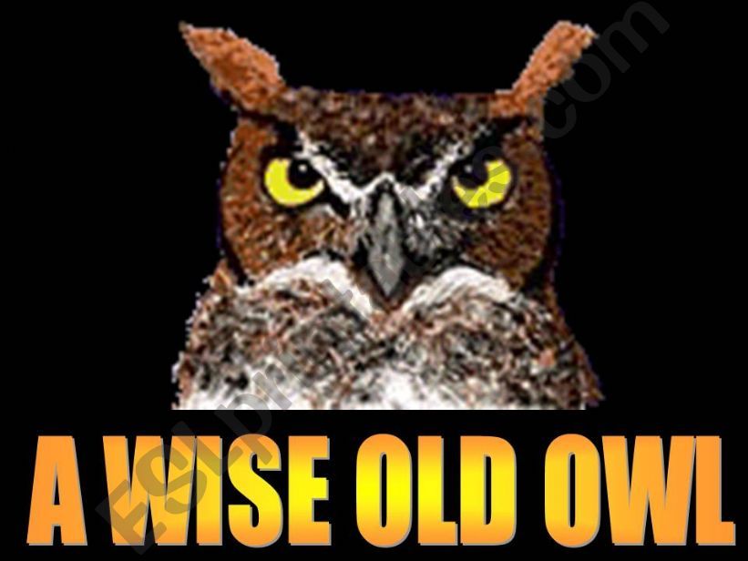 A wise old owl powerpoint