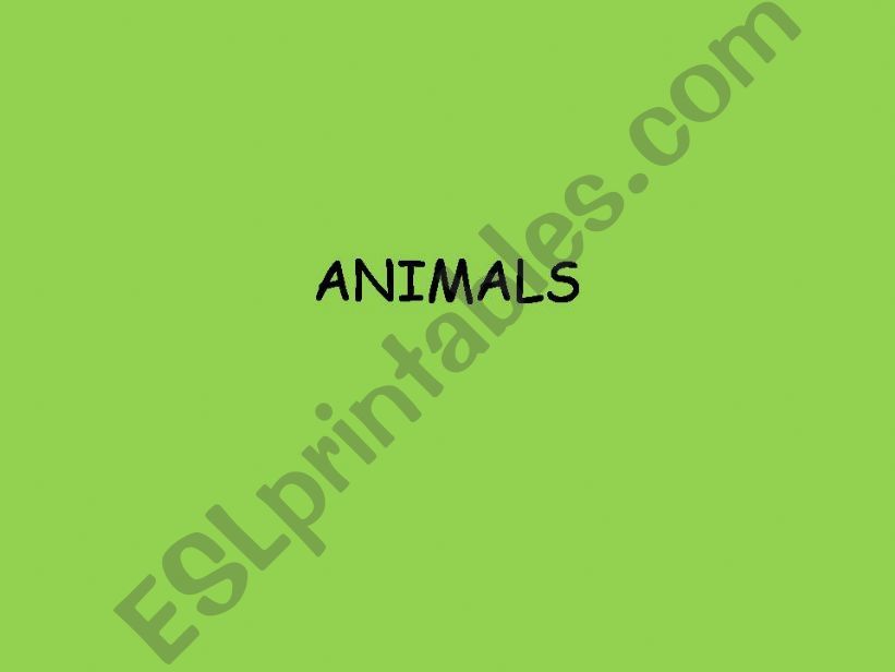 Animals review powerpoint