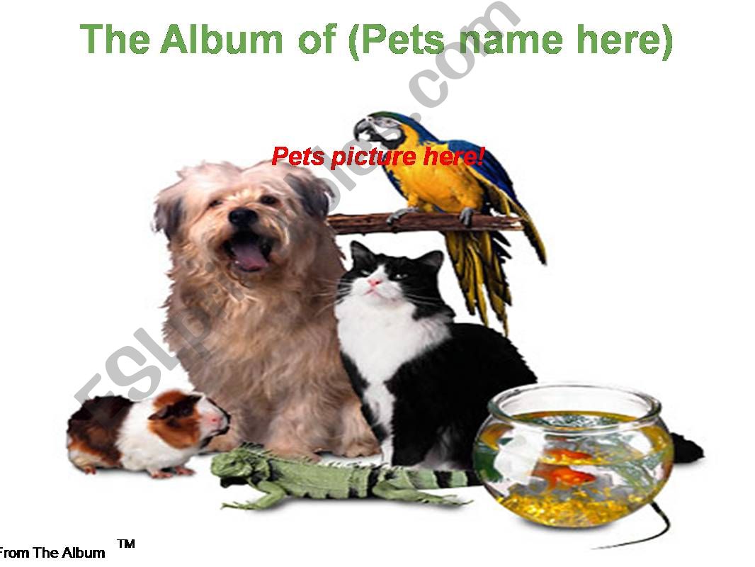 Pet  templates powerpoint