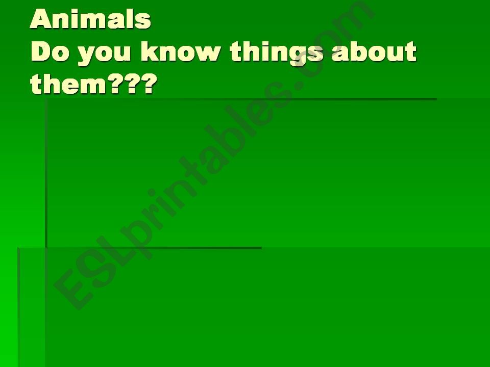 animals powerpoint