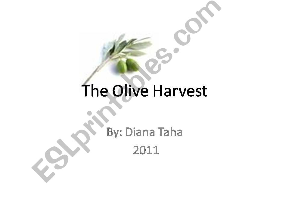 The Olive Harvest powerpoint