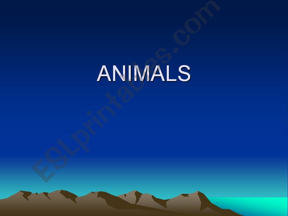 wild animals powerpoint