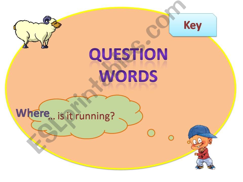 Question words Present Simple/Present Continuous Part 1  (what, when, why, how, how much, how many...)