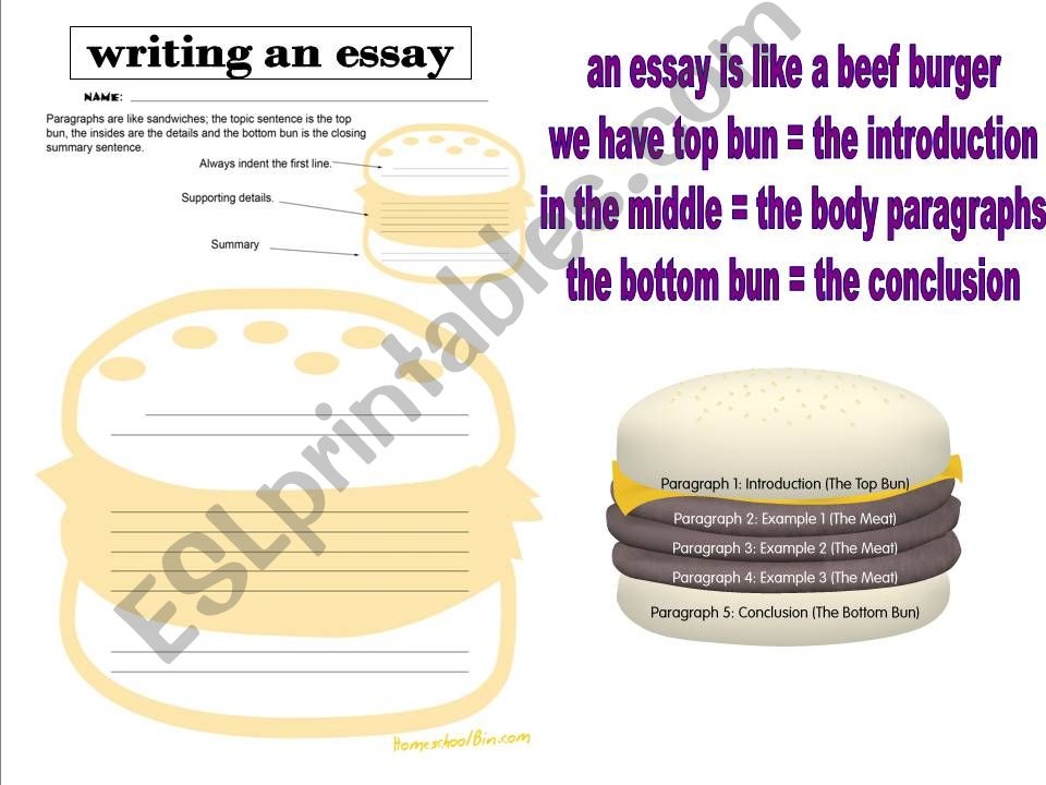 a plan in how to write 5 paragraphs or essay