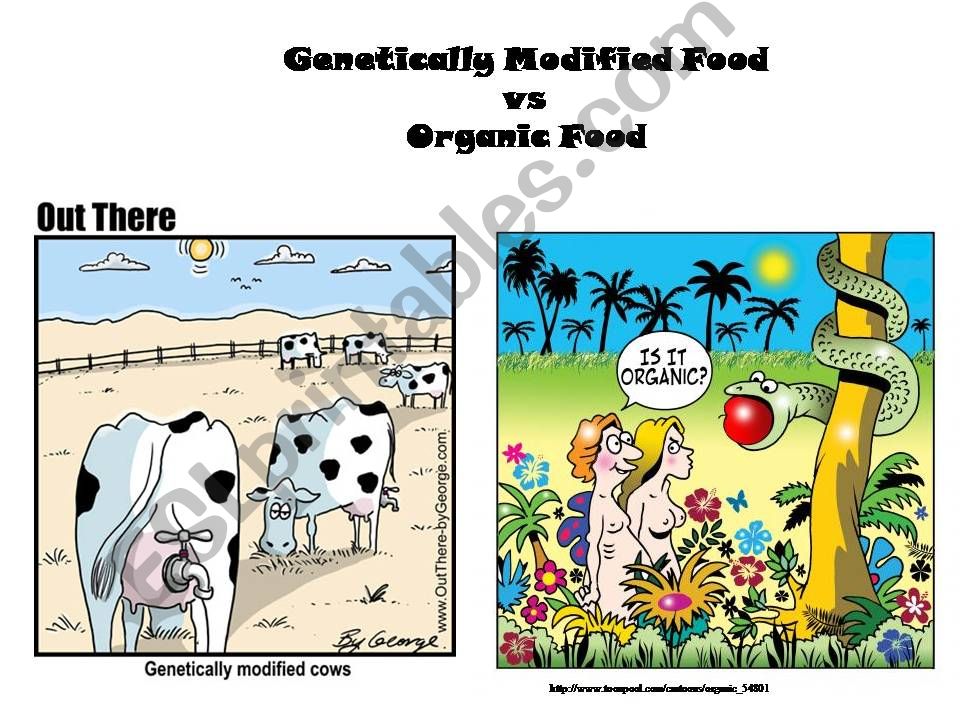 Genetically Modified Food powerpoint