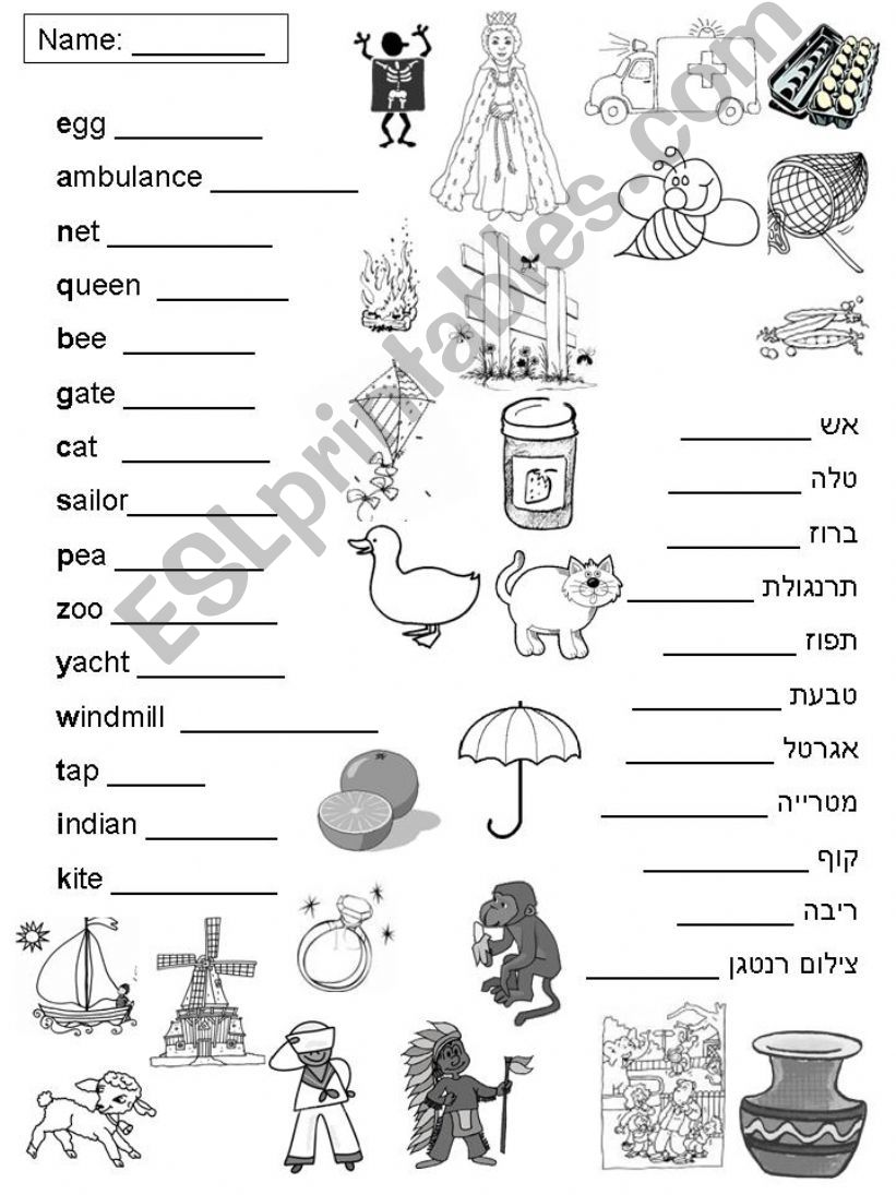 Vocabulary- A to Z- Hebrew included.