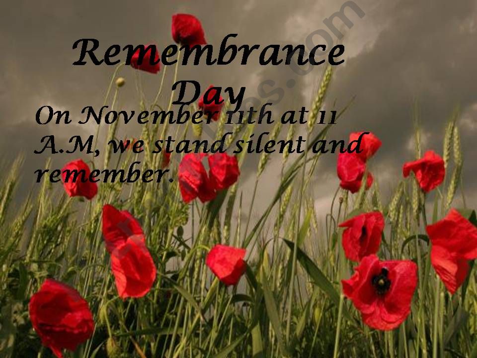 Remembrance Day powerpoint