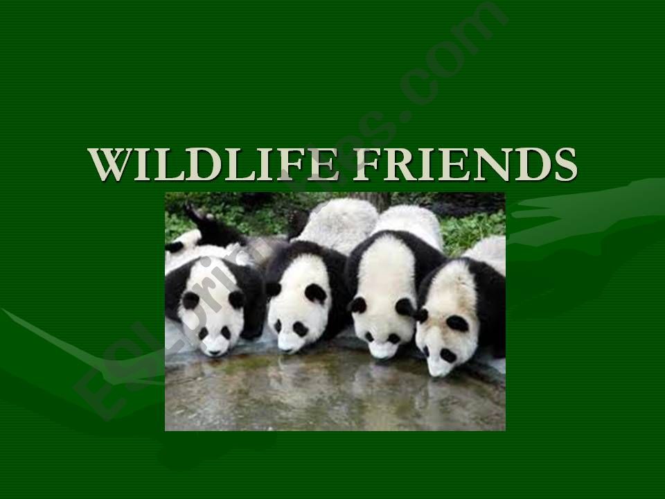 Wildlife Animals powerpoint