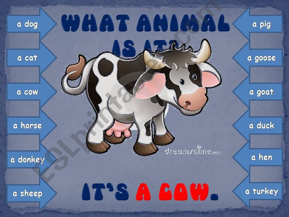 ANIMALS GAME part 2 powerpoint