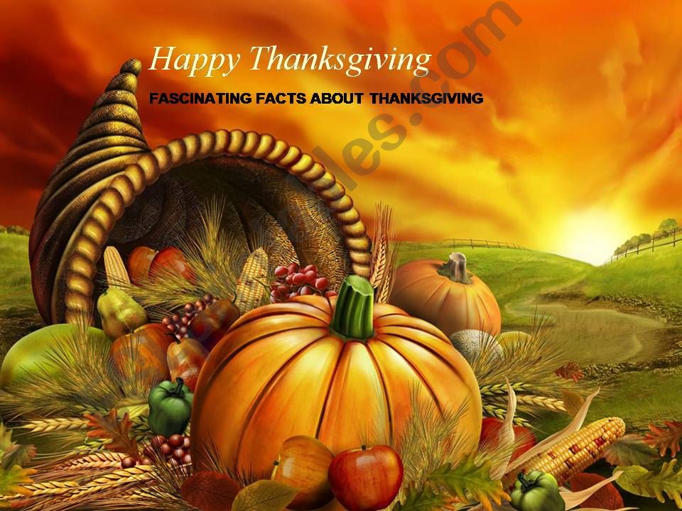 Fascinating Facts about thanksgiving
