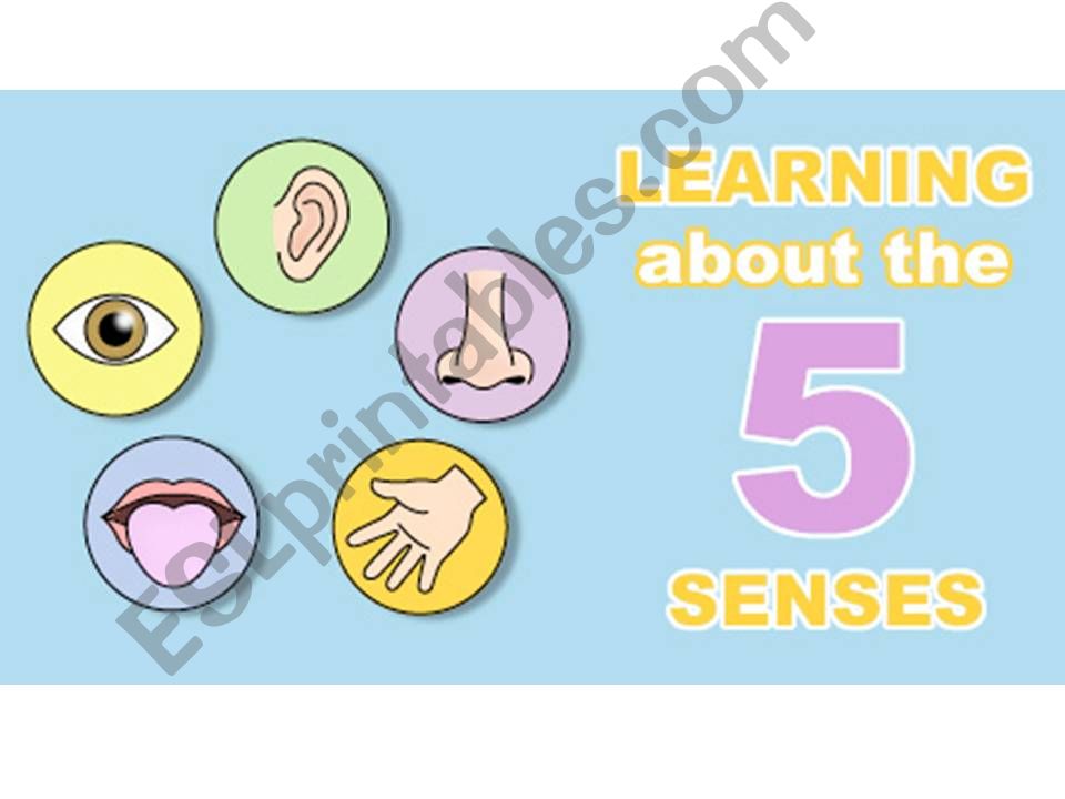 The senses powerpoint