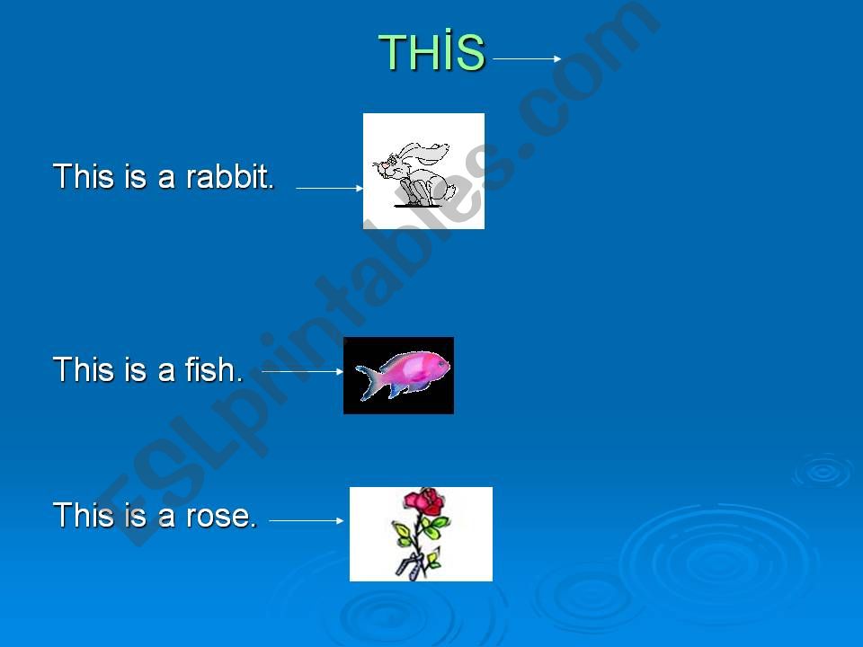 This/That powerpoint