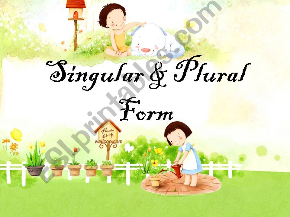 plural&singular powerpoint