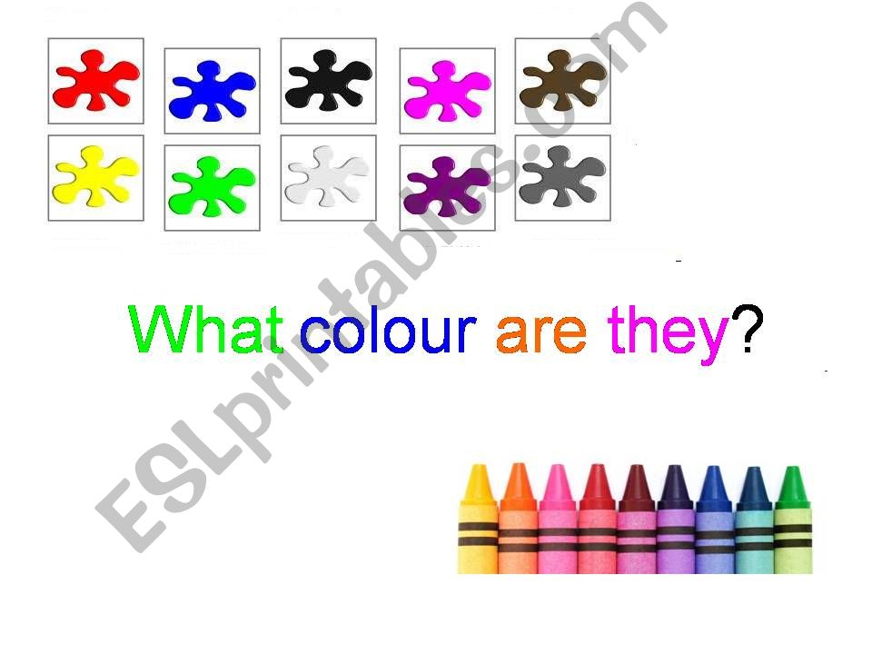 What colour are they? powerpoint