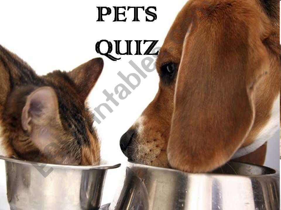 Pets Quiz powerpoint