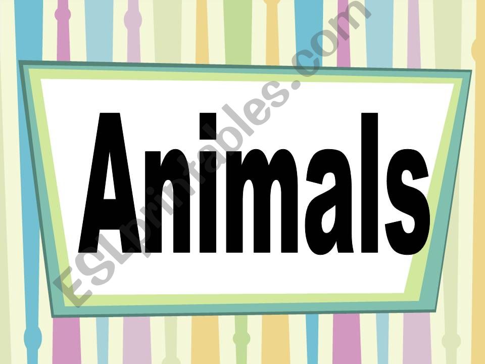 animals powerpoint