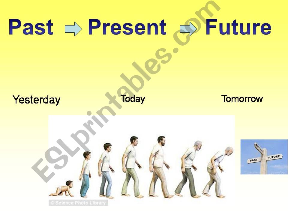 What will Happen in the Future?