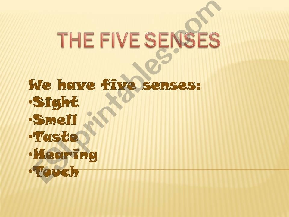The 5 senses powerpoint