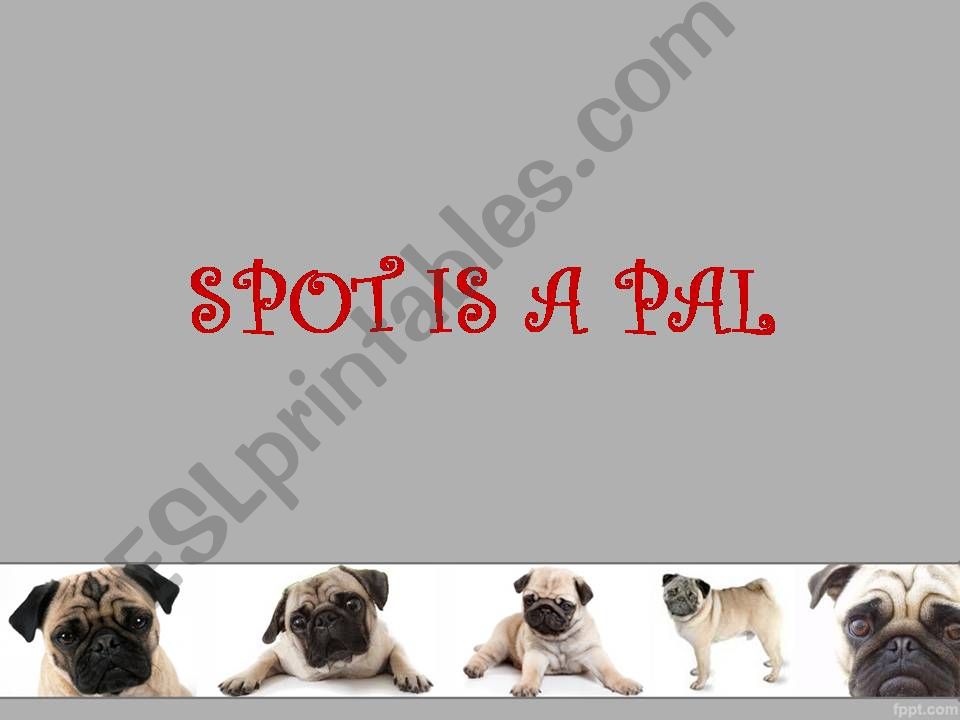 spot is a pal powerpoint