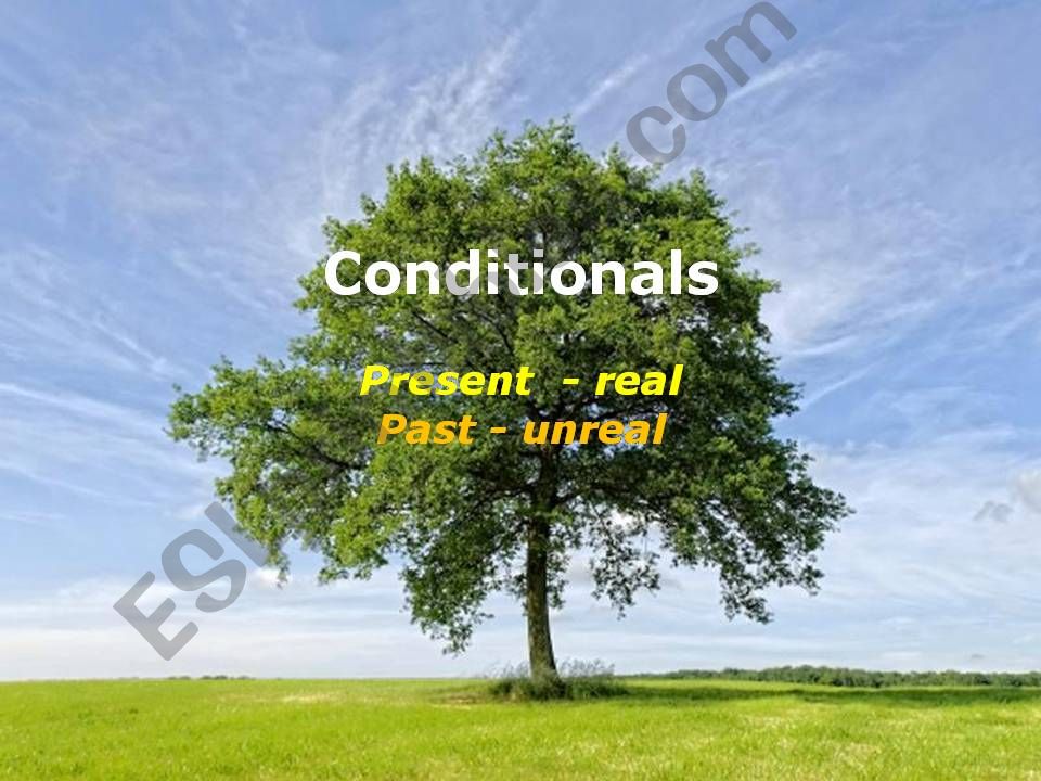 Conditionals powerpoint