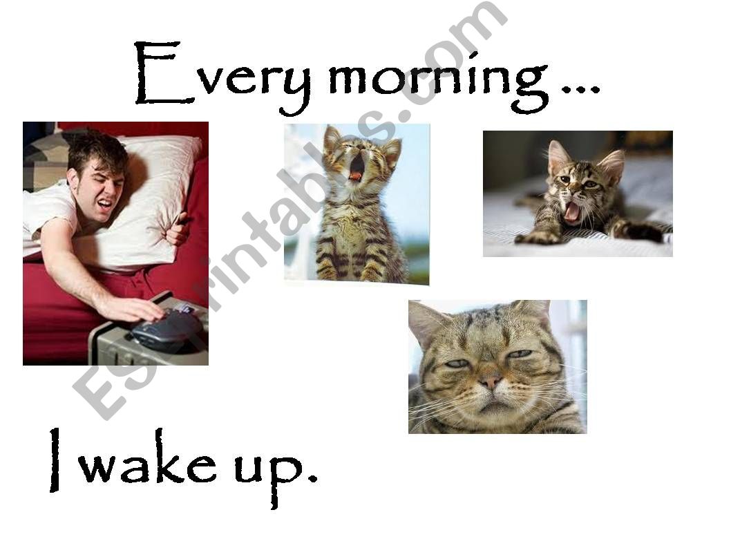 Daily Routines (cute and funny pictures)