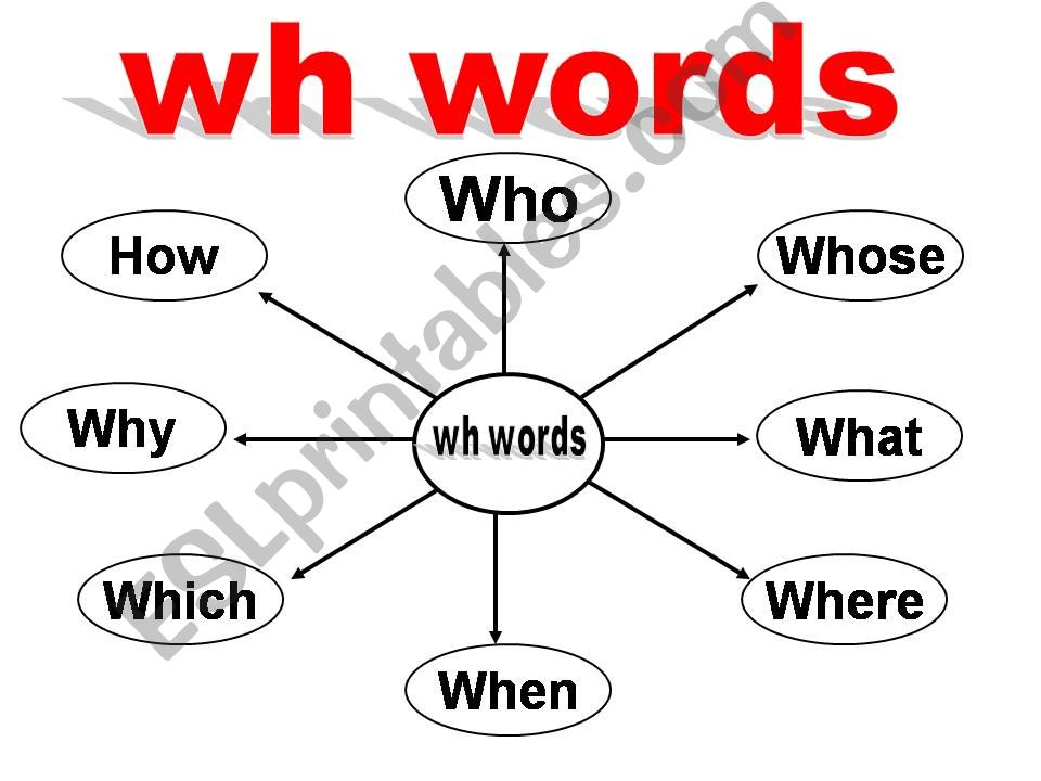 Wh words powerpoint