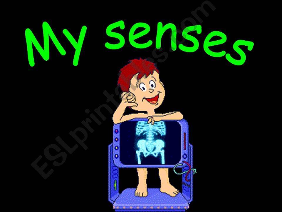 My senses (part1) powerpoint