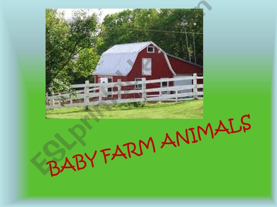 baby animals powerpoint