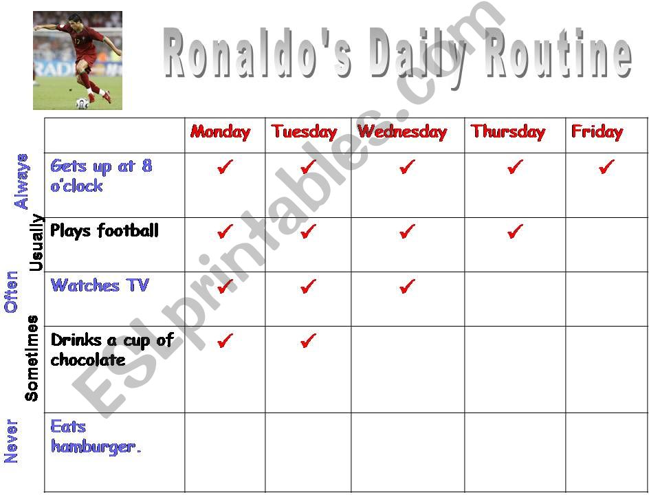 Daily routines and frequency adverbs
