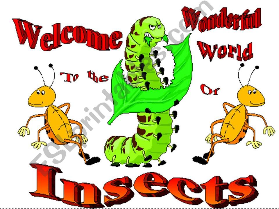 Insects powerpoint