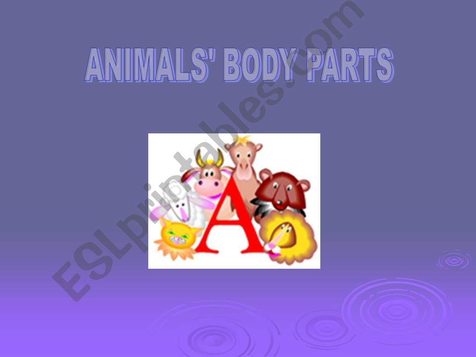 ANIMALS, BODY PARTS powerpoint