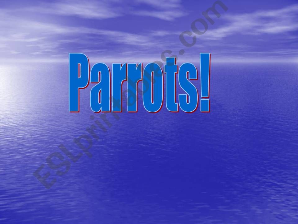 Parrots powerpoint