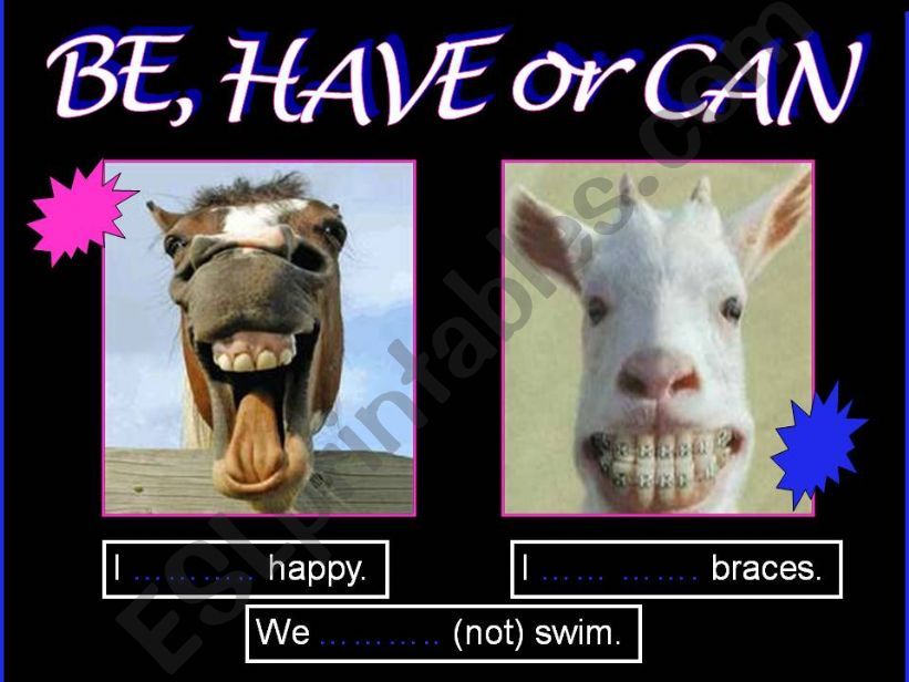 BE, HAVE, CAN & FUNNY ANIMALS powerpoint