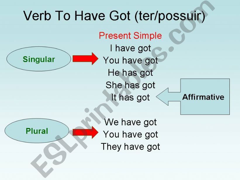Verb  to Have Got powerpoint
