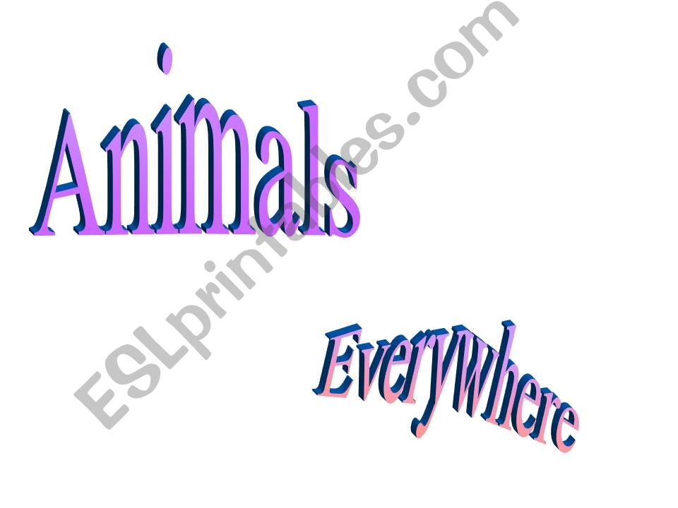 animals everywhere powerpoint