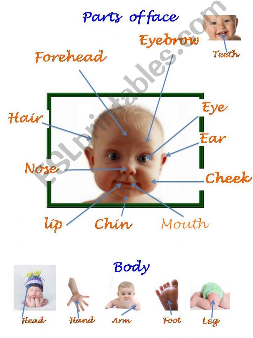 face and body powerpoint
