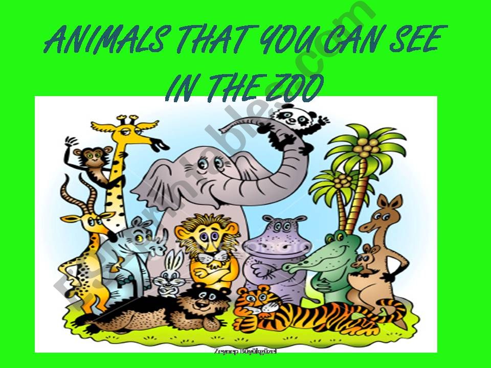 Animals that you can see in the zoo