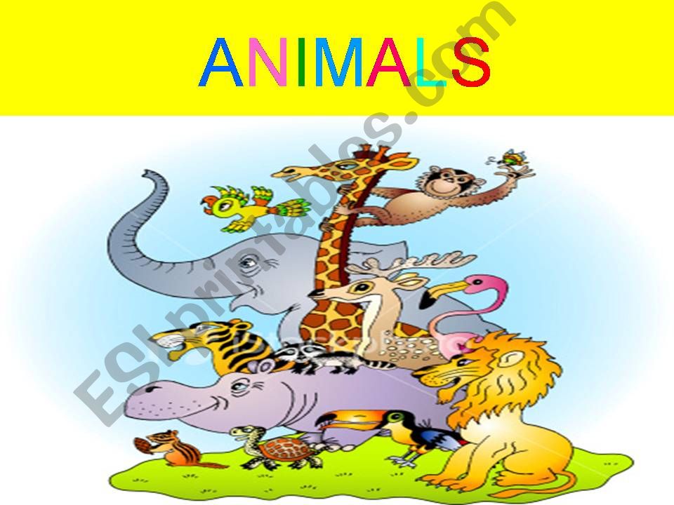 animals powerpoint