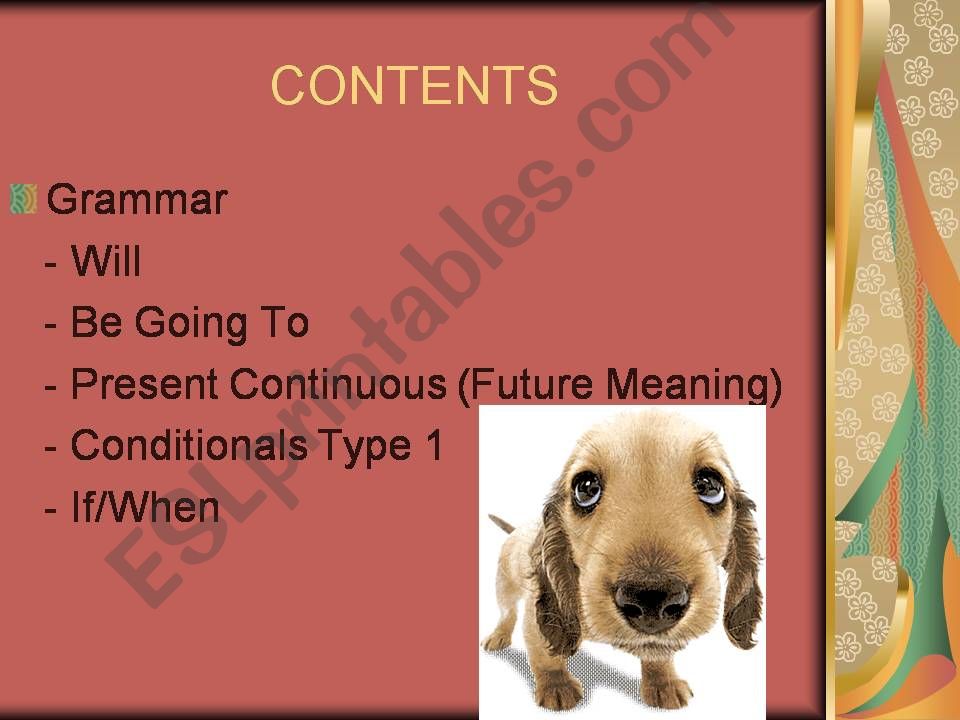 FUTURE TENSE powerpoint