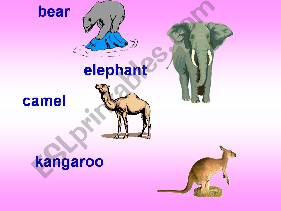 Animal Homes powerpoint