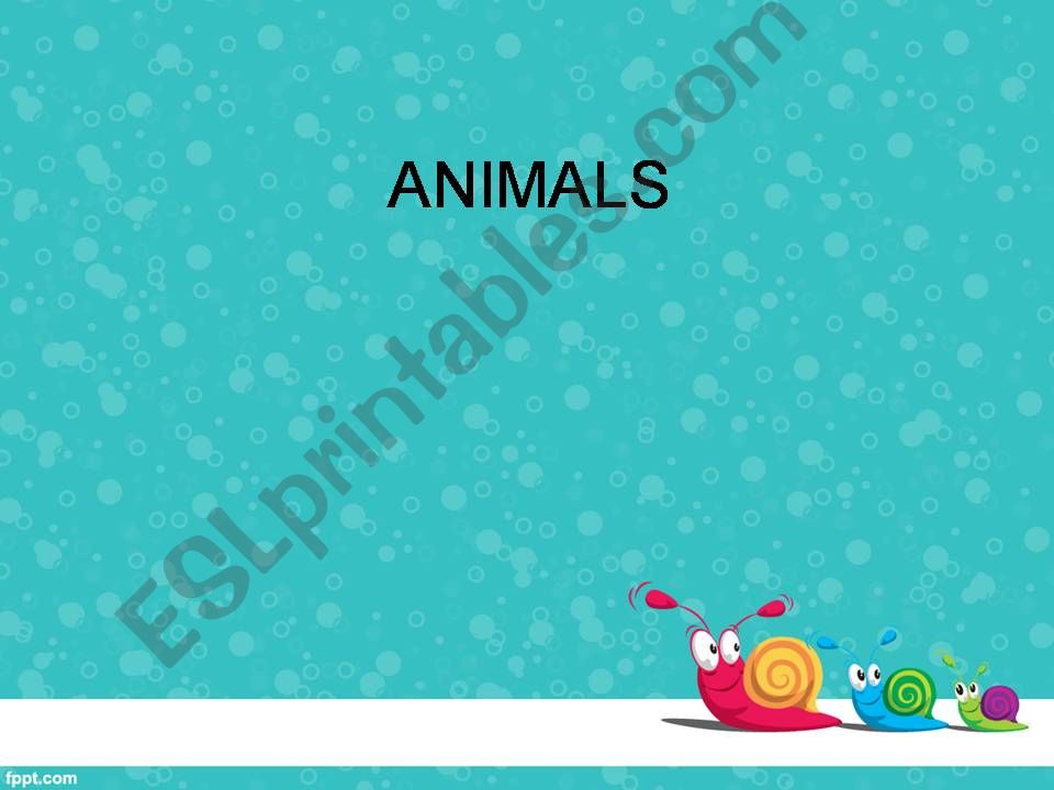 animals powerpoint