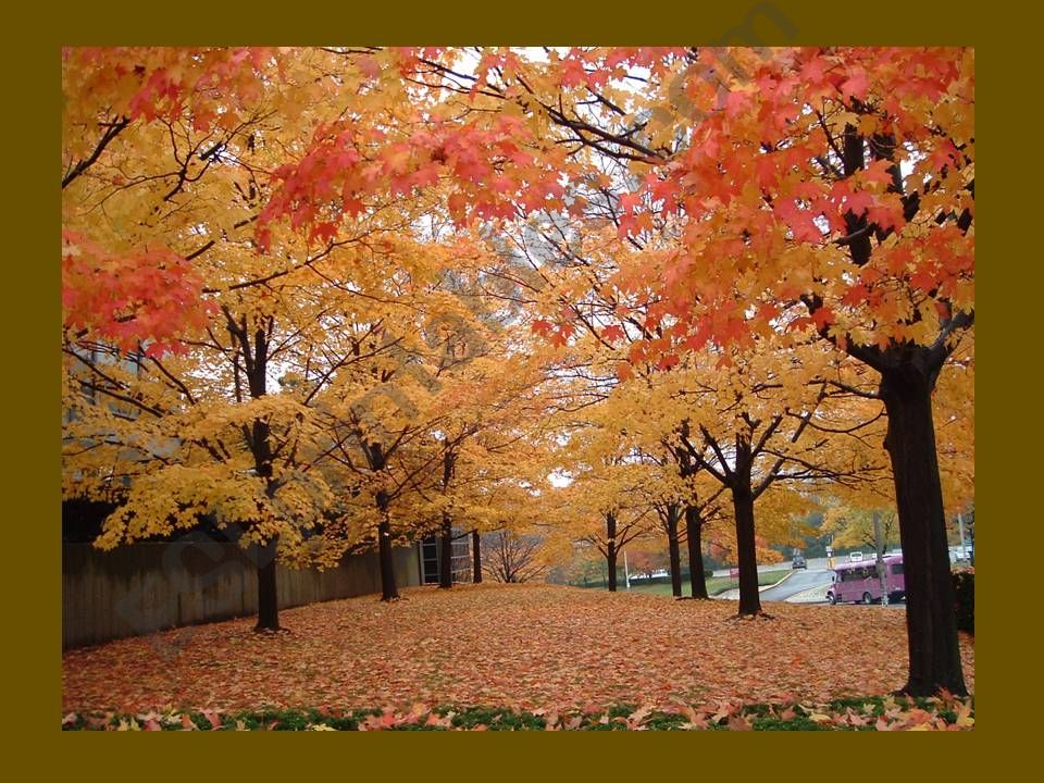 autumn powerpoint