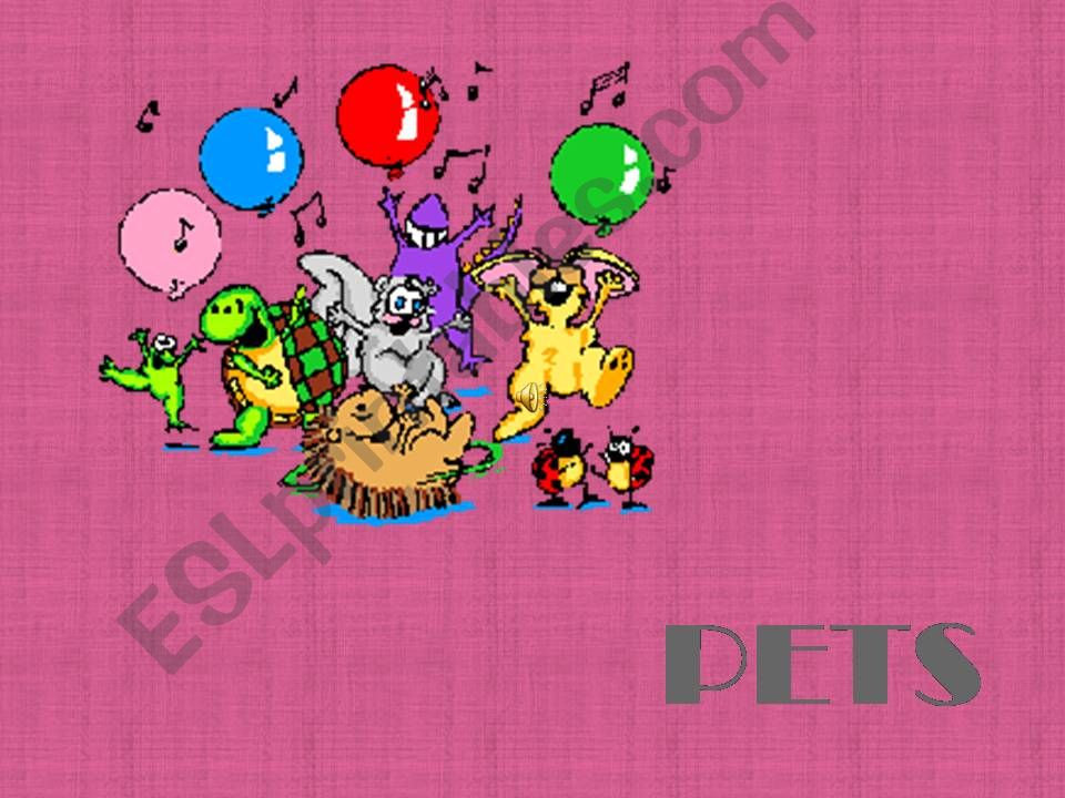 introducing pets powerpoint