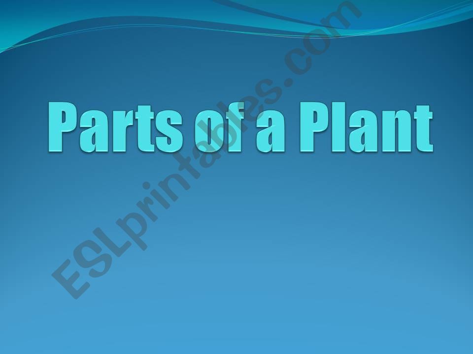 plant_parts powerpoint