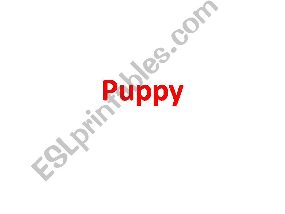 Adjective to describe puppy powerpoint