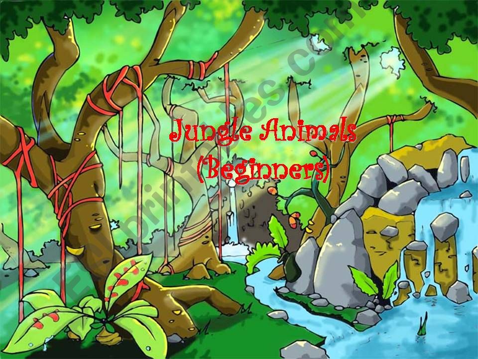 My Very Own Jungle with My Very Own Jungle Animals