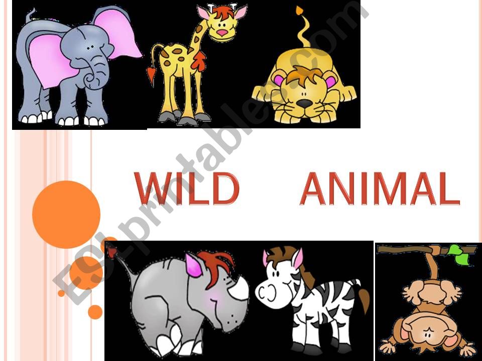 wild animals powerpoint